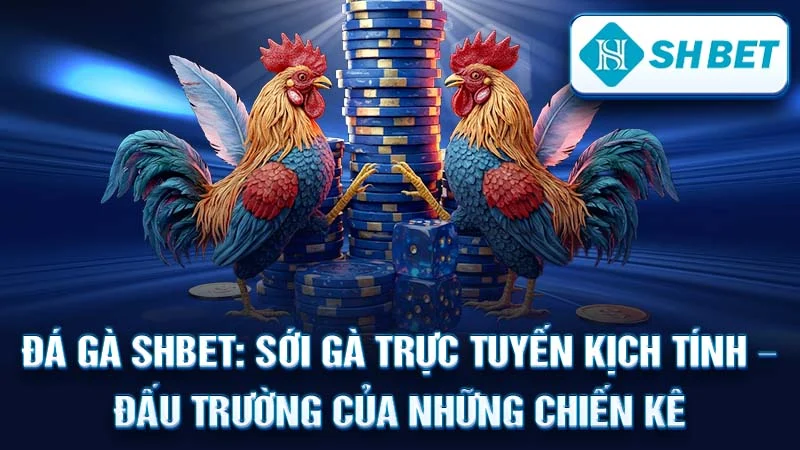Đá Gà SHBET: Sới Gà Trực Tuyến Kịch Tính – Đấu Trường Của Những Chiến Kê